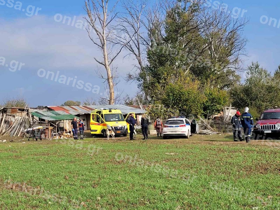 Δέντρο καταπλάκωσε και σκότωσε γυναίκα