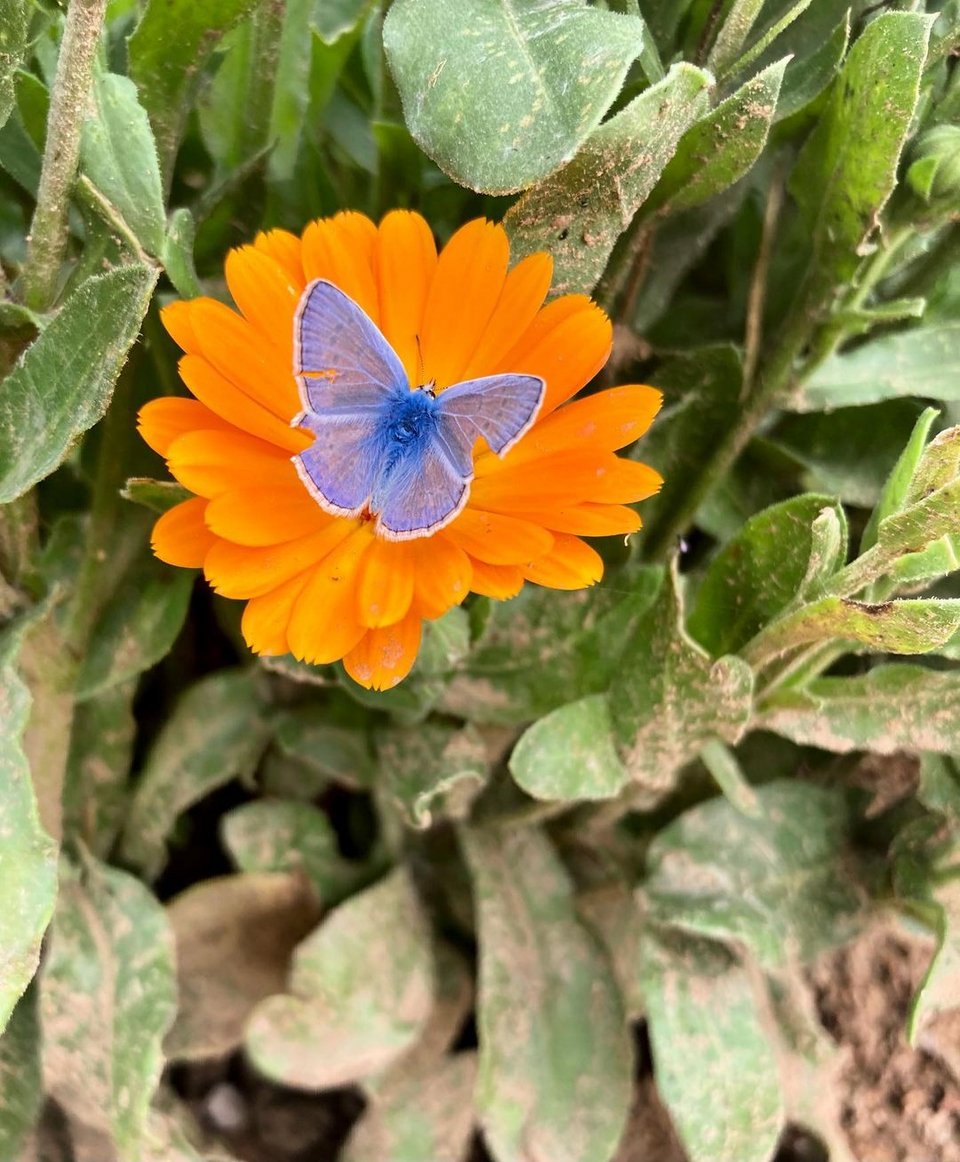 Η μαγεία της φύσης αποζημιώνει για όλες τις δυσκολίες που έχει η ζωή στο χωριό - Φωτογραφία: grizo_prasino/Instagram