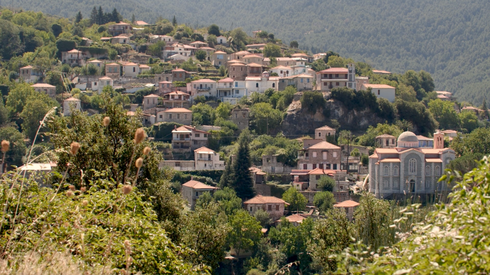 Βαμβακου