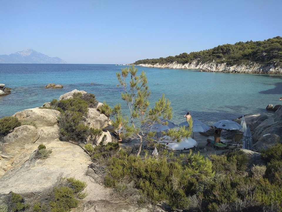 Χαλκιδική: Εκεί όπου τα πευκοδάση αγγίζουν την ακτή