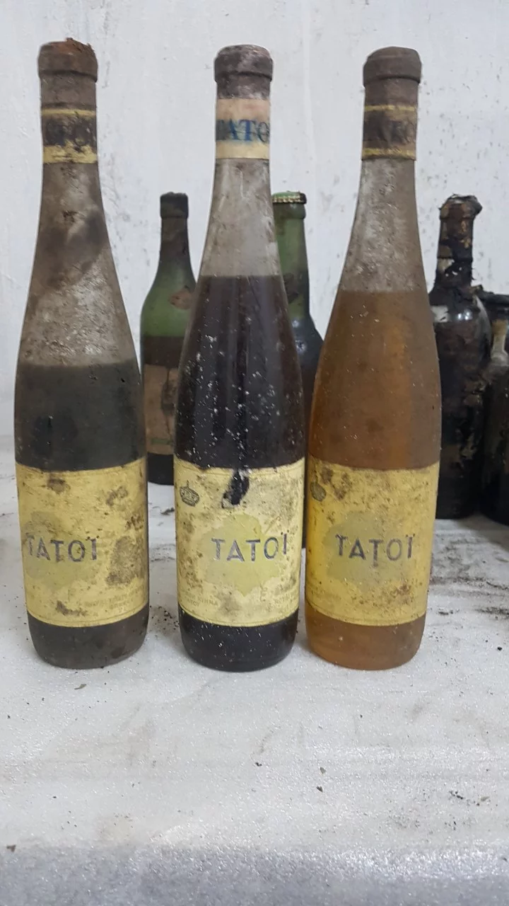 τατόι 