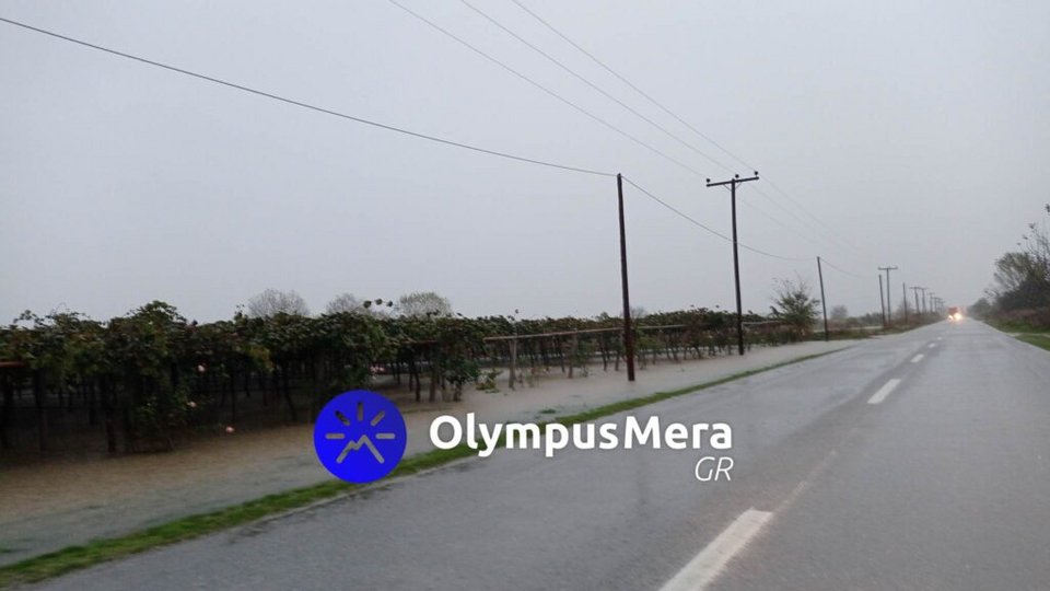 Φωτογραφία από olympusmera.gr