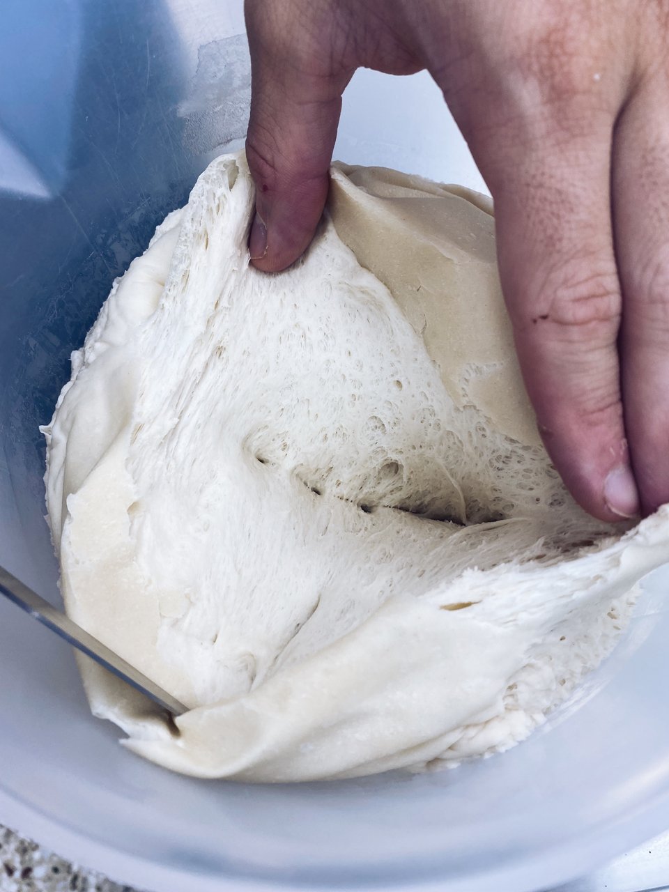 Έλεγχος του ζυμαριού στο εσωτερικό του. 