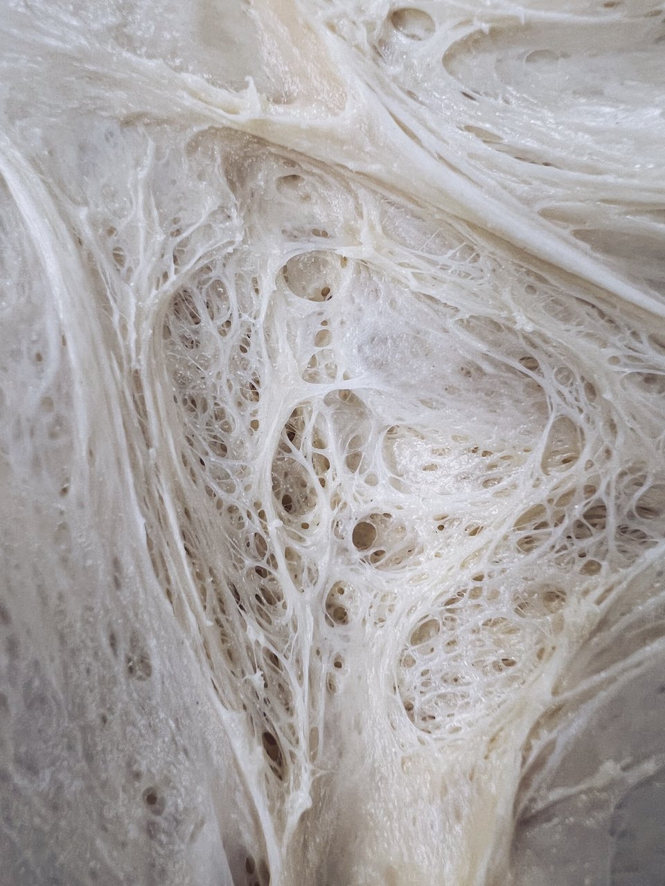 Το εσωτερικό της ζύμης, σαν περίτεχνος ιστός. 