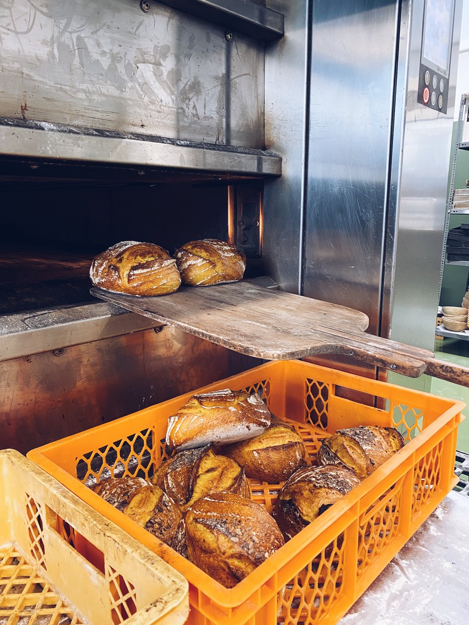 Tαλαχταριστά πολύσπορα καρβέλια με κουρκουμά και καπνιστό μπούκοβο μόλις βγαίνουν αχνιστά από τον φούρνο. 