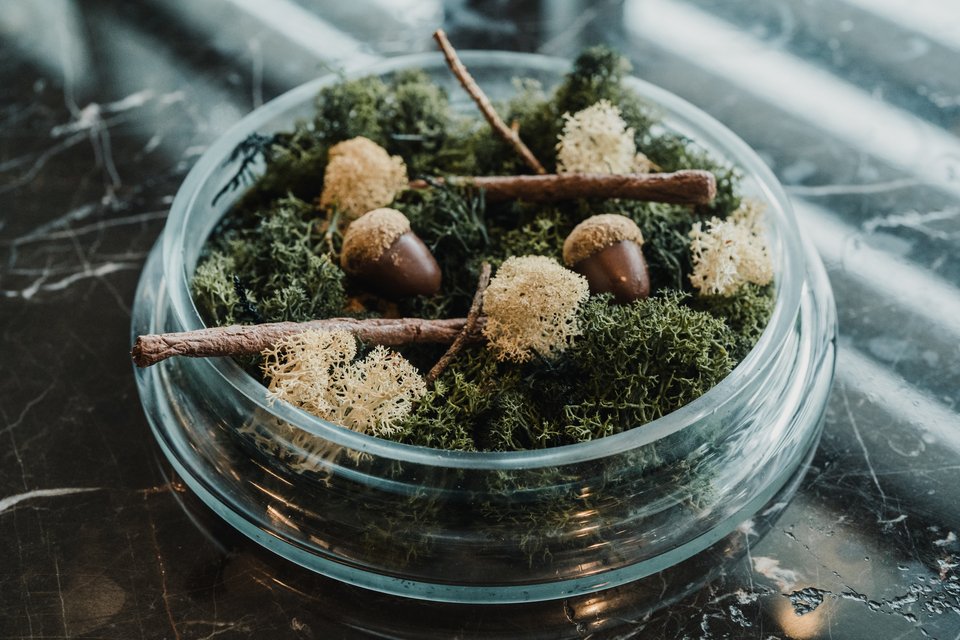 Το γλυκό με τα εικονονικά βελανίδια και τα ξύλα κανέλας / Φωτογραφία: Παναγιώτης Μάλλιαρης/iefimerida