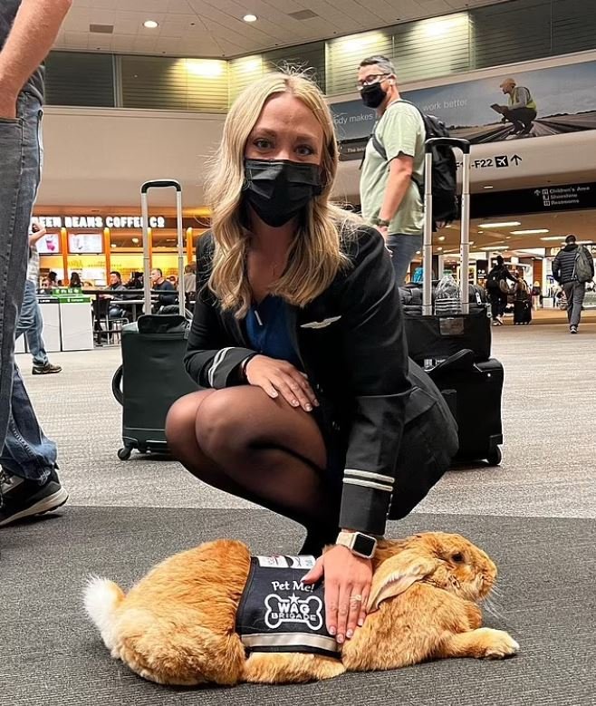 Ο Alex είναι γνωστό ότι είναι υπάκουος και υπομονετικός με τους ταξιδιώτες και τον βλέπουμε συχνά σε όλο το αεροδρόμιο