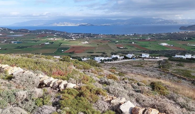 Το οικόπεδο 9 στρεμμάτων των Καϊλή - Τζόρτζι στην Πάρο