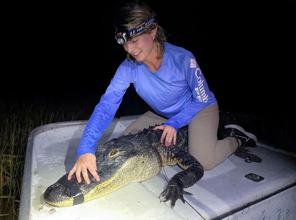 Η λαμπερή επιστήμονας πάνω σε έναν αλιγάτορα