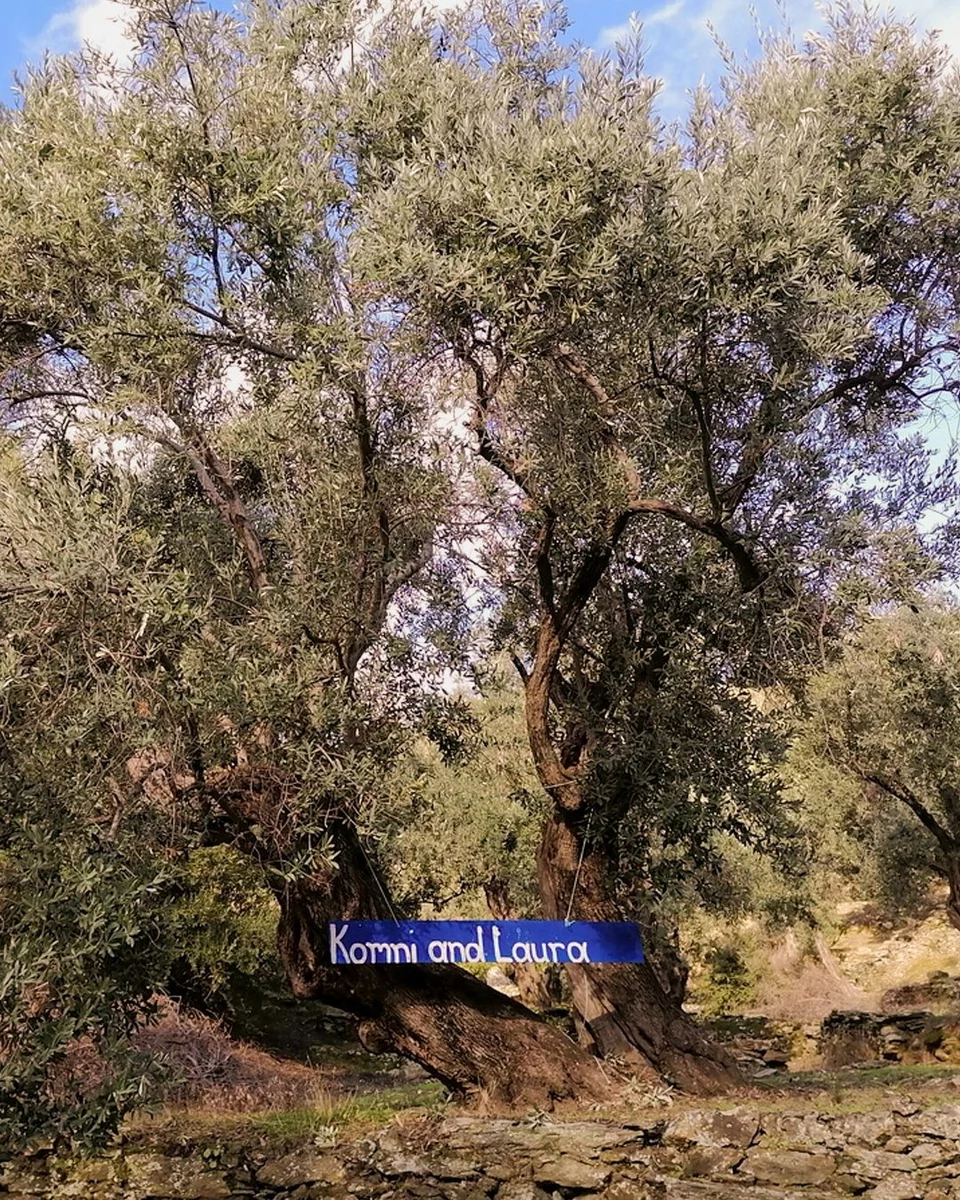 https://www.iefimerida.gr/sites/default/files/styles/in_article/public/article-images/2022-12/unknown_296112287_303926358582318_921423551337960919_n.jpg.webp?itok=AI6oIYKH