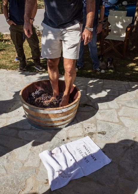 Πάτημα μούστου στο κτημα ΚΥΡ ΓΙΑΝΝΗ