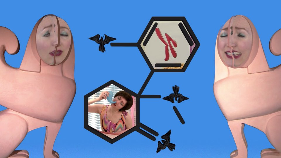 Eργο της Shana Moulton Every Angle is an Angel, 20166:19 min, Courtesy the artist & Gregor Staiger Gallery, Zurich