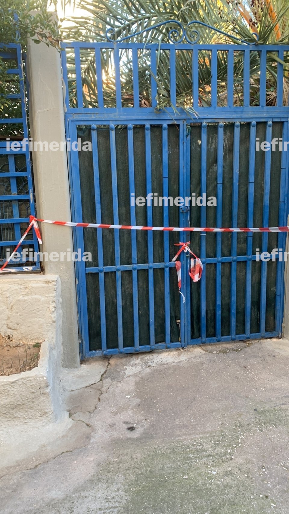 γυναικοκτονία