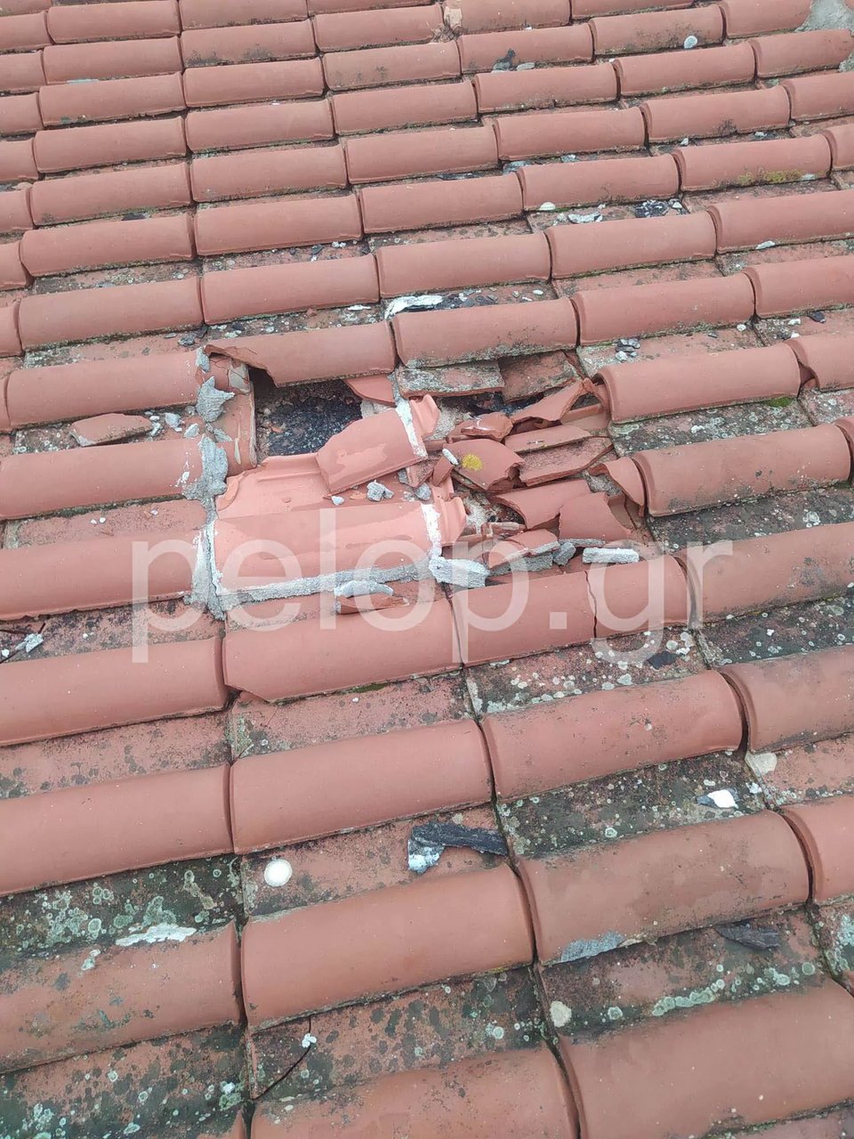  Φωτογραφία: pelop.gr 