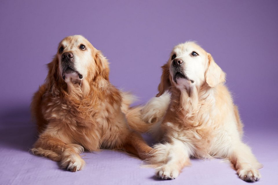 Φωτογραφία Όλγα Αμηρίδου  