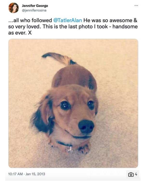 Η αγαπημένη μασκότ του Vogue House, ο Tatler Alan 