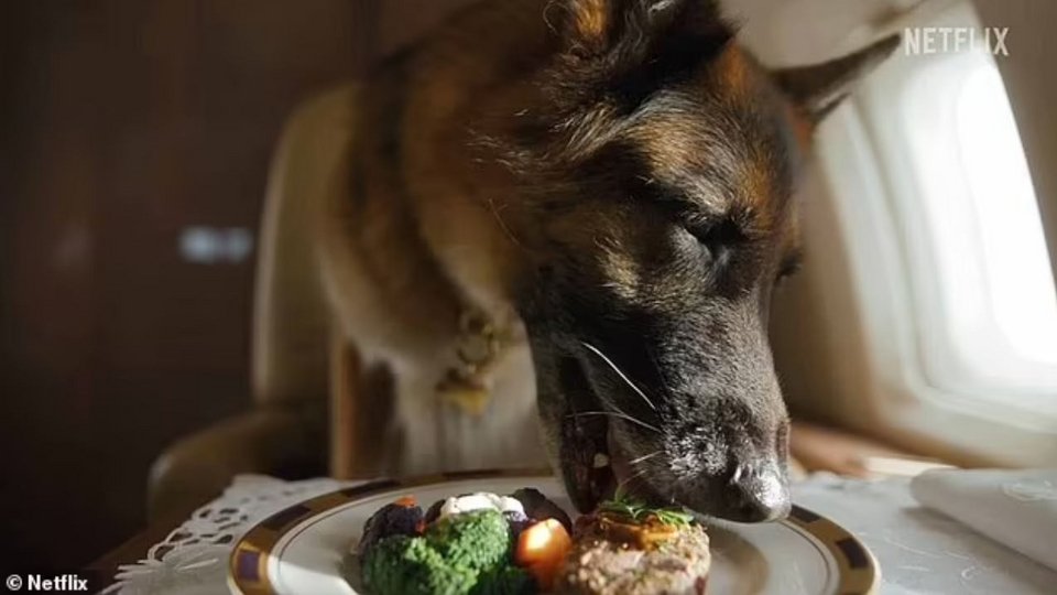 Ο Mian ισχυρίστηκε ότι ο Gunther VI ζούσε μια πολυτελή ζωή, απολαμβάνοντας ιδιωτικά αεροπλάνα και γιοτ  