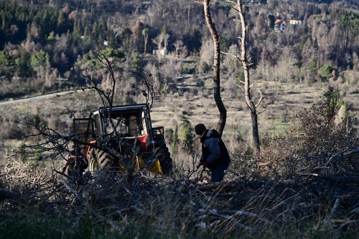 Φωτογραφία: ΜΙΧΑΛΗΣ ΚΑΡΑΓΙΑΝΝΗΣ / EUROKINISSI