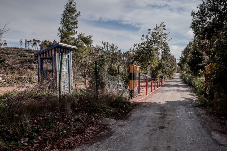 Ετοιμασίες στο Τατόι για την ταφή του τέως βασιλιά Κωνσταντίνου / EUROKINISSI