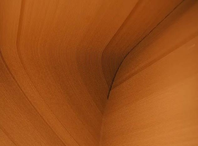 Φωτογραφία: University of Maine