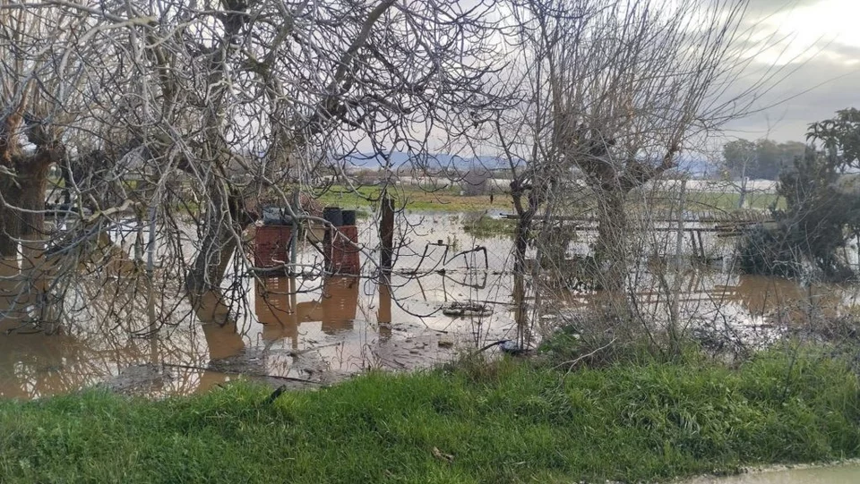 Πλημμυρισμένα χωράφια στην Ηλεία / patrisnews.gr