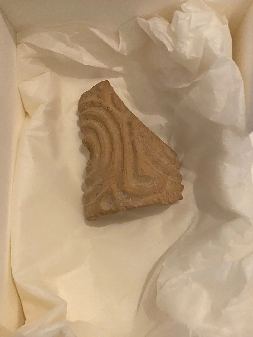 το θραύσμα του μοναδικού πήλινου σφραγιδοκύλινδρου της Ασίνης