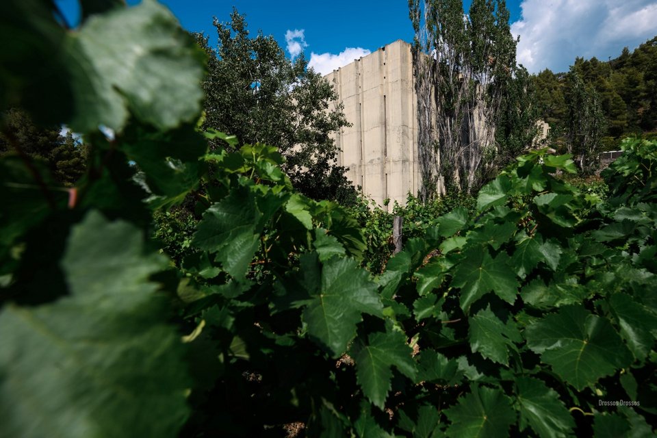 το οινοποιείο του Κτήματος, χτισμένο γύρω στο 1968-1969