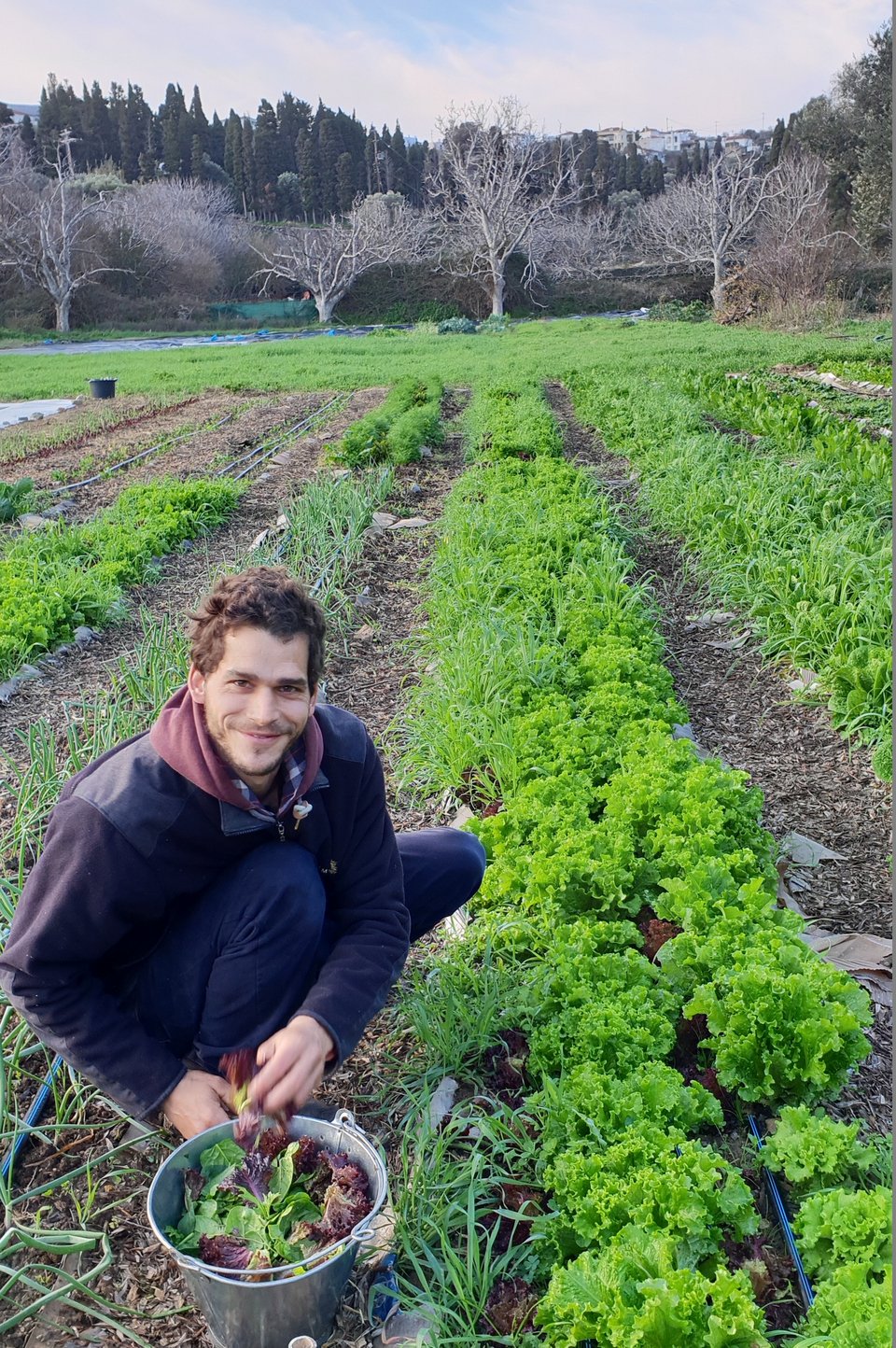 Ο Αλέξανδρος Κωστής της Livada Farm. 