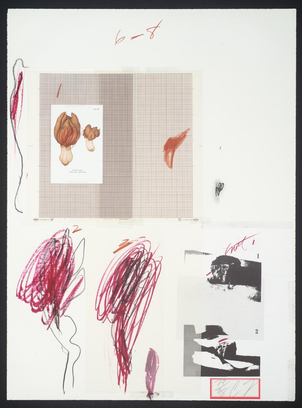 Eργο από τη σειρά του Cy Twombly με τα μανιτάρια / Τate