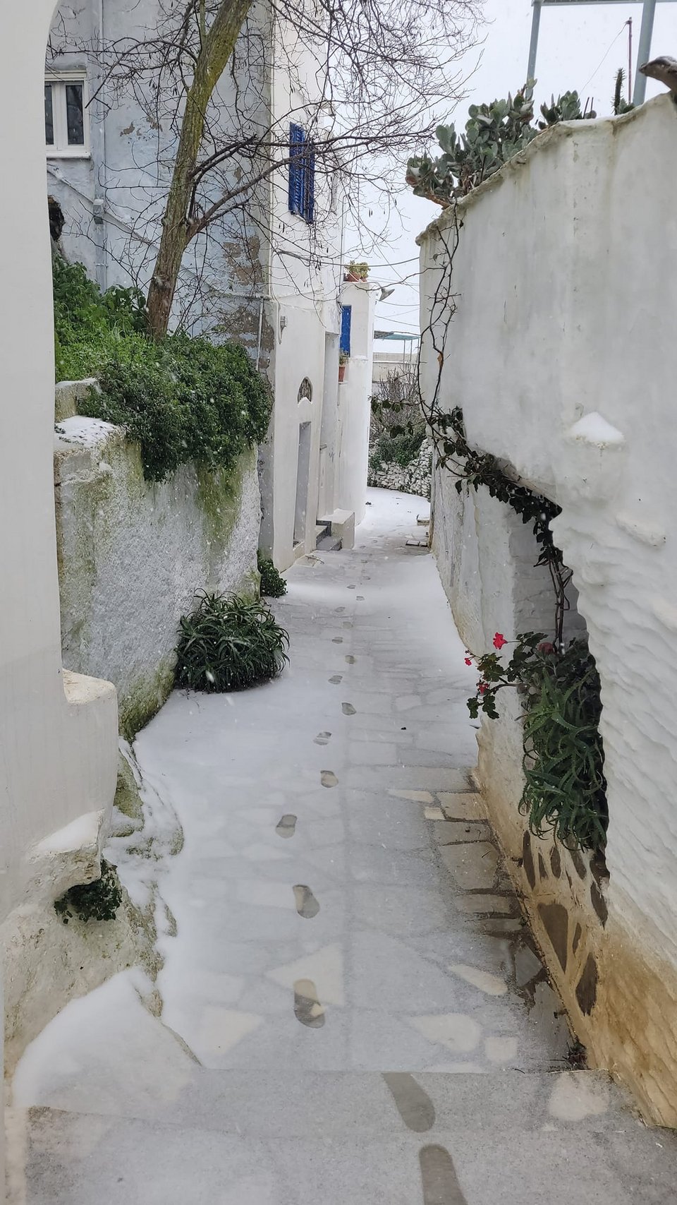 τηνος