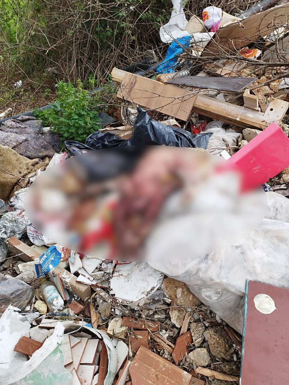 Σκότωσαν και πέταξαν στα σκουπίδια σκύλο στα Χανιά / Facebook / Lida Sifodaskalaki