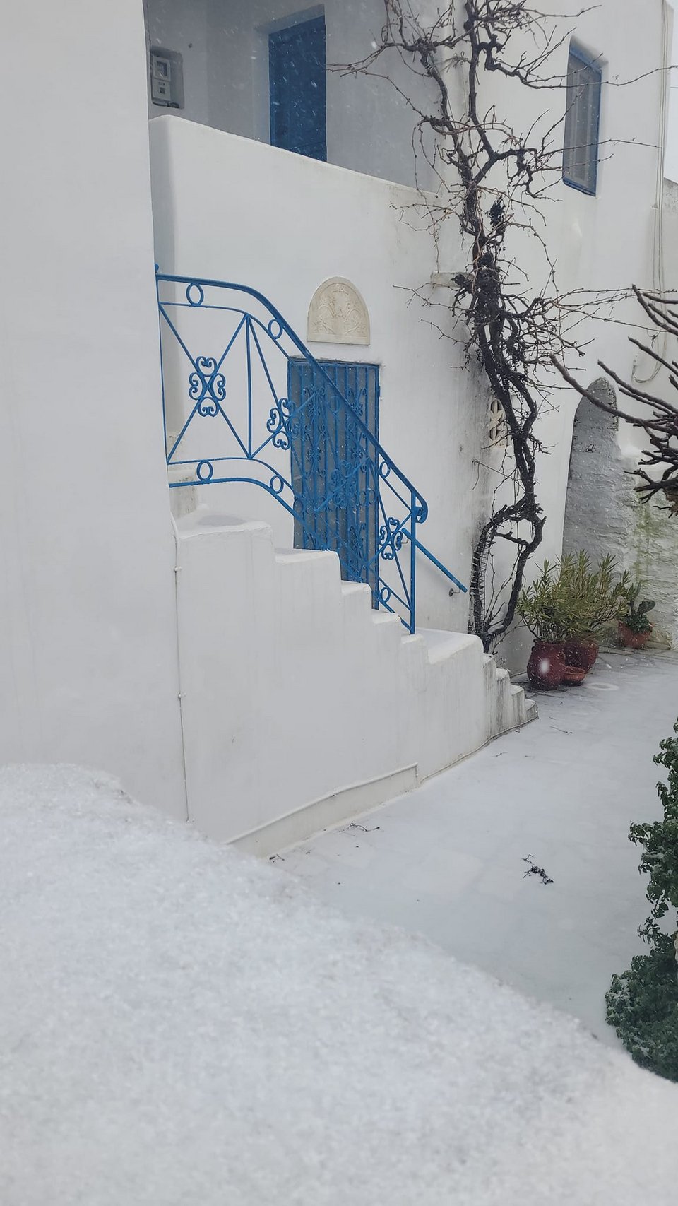 τηνος