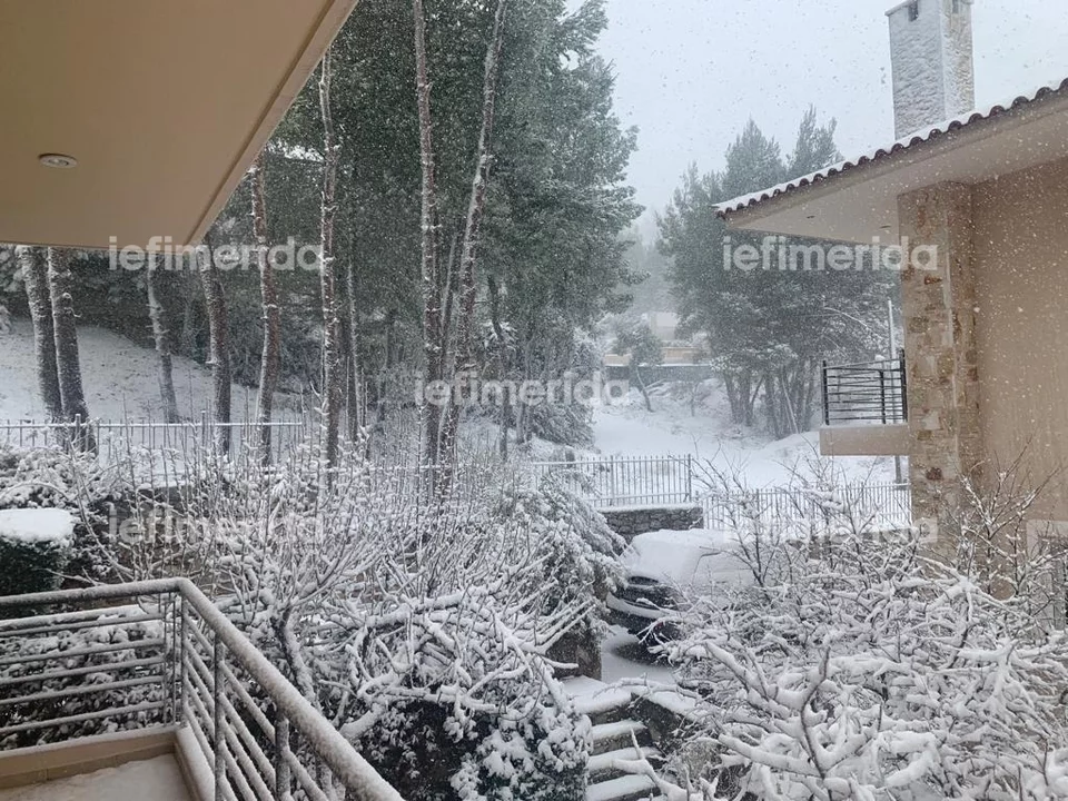 Διόνυσος