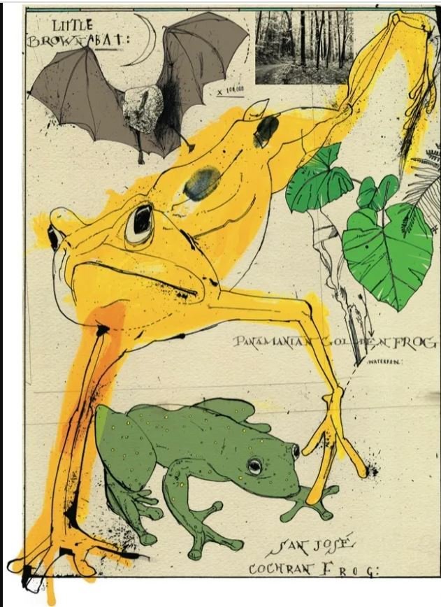  Η υπέροχη εικονογράφιση του Τhe New Yorker για την παρουσίαση του βιβλίου, από τον  David Hughes  