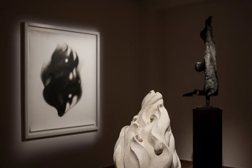 Φωτογραφία Εγκατάστασης,  Ευγενική Παραχώρηση της CITRONNE Gallery και του καλλιτέχνη. Φωτογραφία: Πάρις Ταβιτιάν