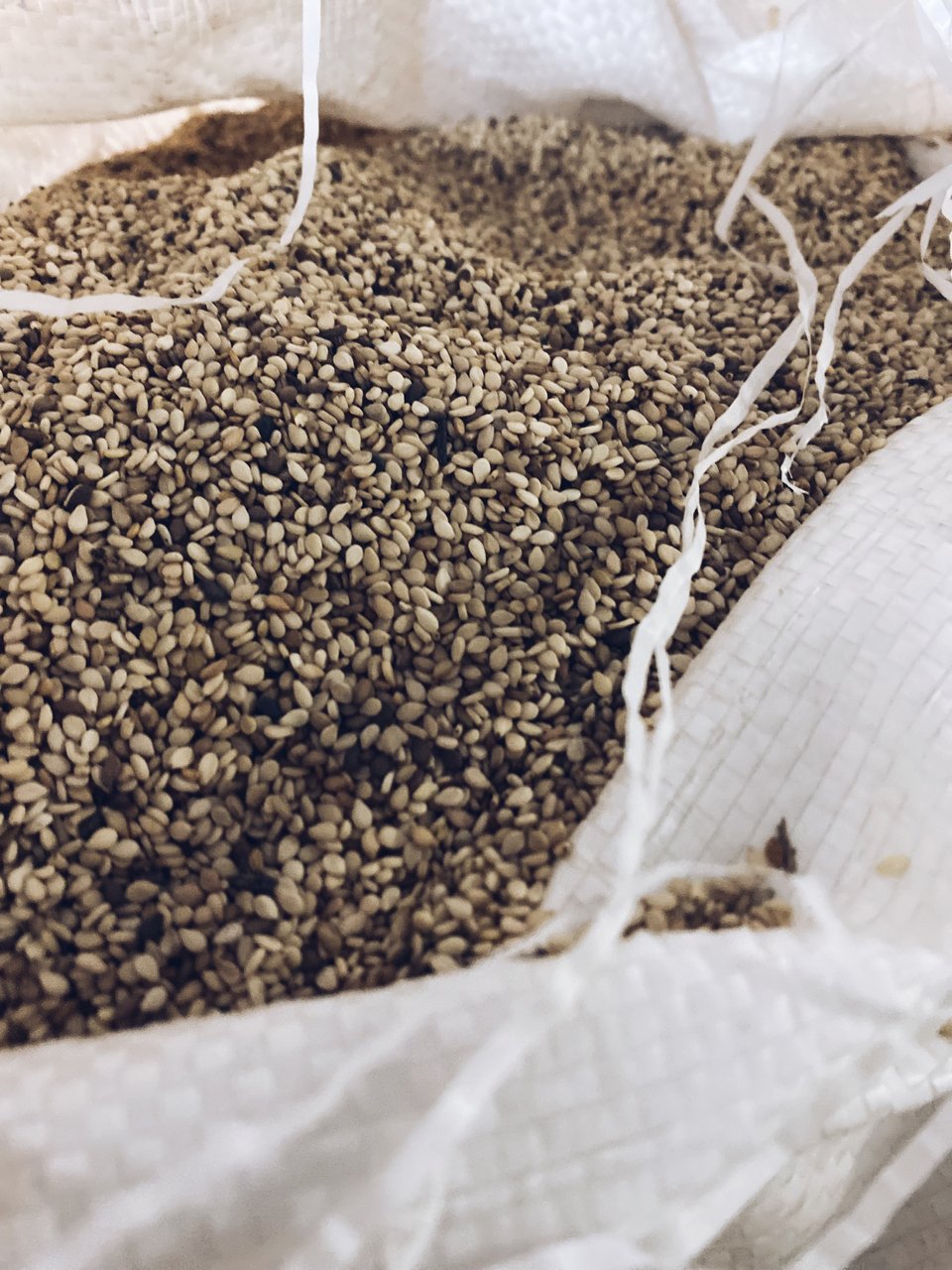 Το σουσάμι όπως έρχεται χωρίς κοσκίνισμα από τισ φυτείες στο Σουδάν και την Αιθιοπία  / Φωτογραφία: Μάνος Λειβαδάρος/iefimerida.gr
