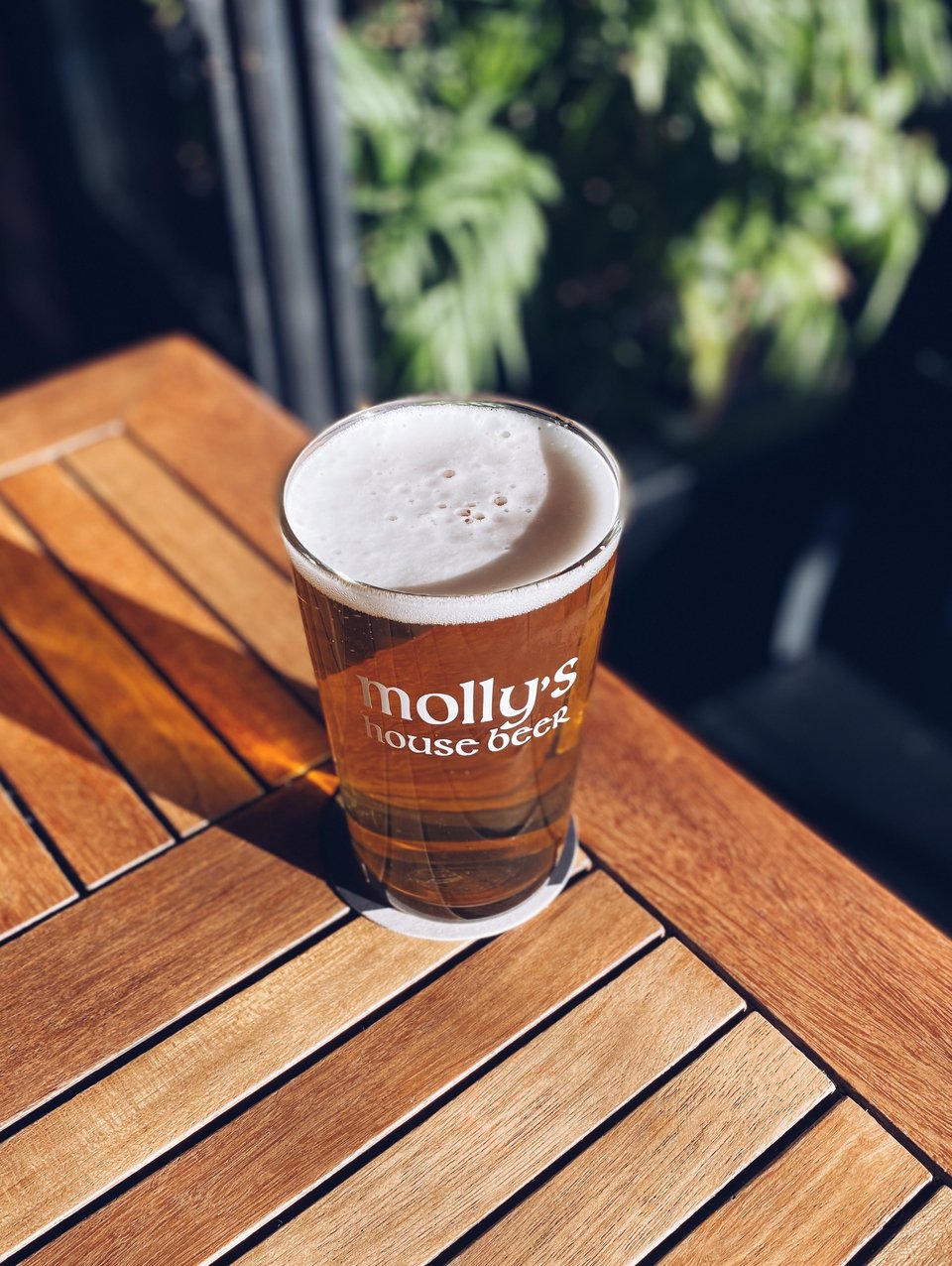 Εδώ υπάρχει μεγάλη ποικιλία από μπύρες, αλλά η παμπ Molly Malone's έχει και τη δική της μπύρα, τη «Μolly's Beer House» / Φωτογραφία: Μάνος Λειβαδάρος/iefimerida.gr 