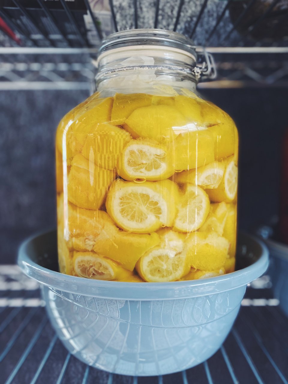 Λεμόνια που συντηρούνται φυσικά μέσα στους χυμούς τους για την παρασκευή ποτών και σαλτσών στο εργαστήριο του    Symbiosis Fermented Foods στην Κερατέα / Φωτογραφία: Μάνος Λειβαδάρος/iefimerida