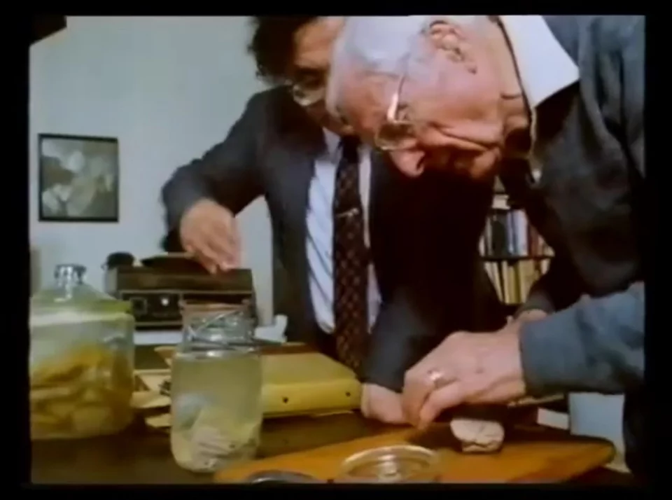 Ο Τόμας Χάρβεϊ κόβει ένα κομμάτι από τον εγκέφαλο του Αϊνστάιν