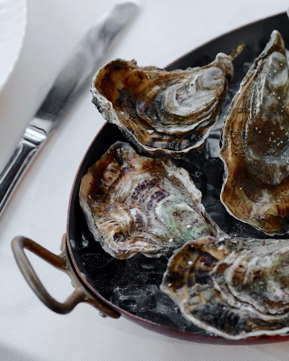 Πιάτο του εστιατορίου Vezené Athens / Φωτογραφία: vezene/Instagram