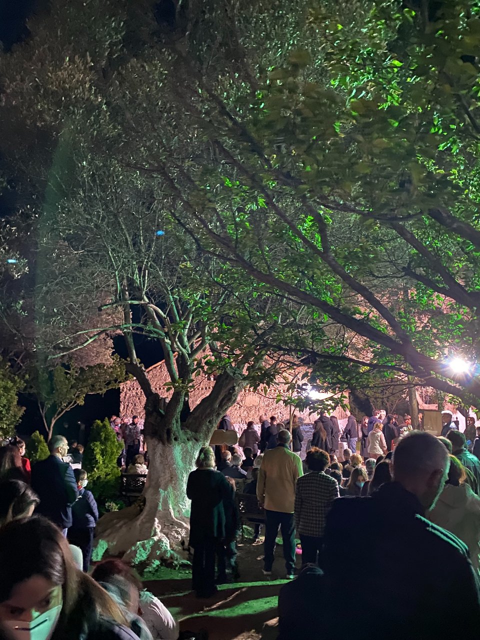 Ο κόσμος παρακολουθεί την αναστάσιμη λειτουργία μέσα στη φύση, κάτω από τα γέρικα δέντρα / Φωτογραφία: Mάνος Λειβαδάρος/iefimerida.gr