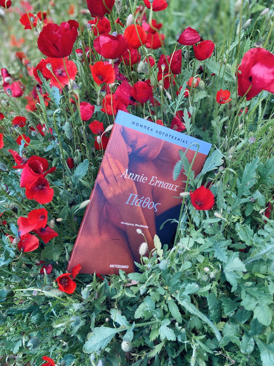 Η νουβέλα «Πάθος» της Annie Ernaux κυκλοφορεί από τις εκδόσεις Μεταίχμιο / Φωτογραφία: Μάνος Λειβαδάρος/iefimerida