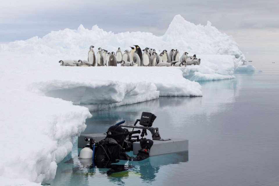 Frozen Planet II
