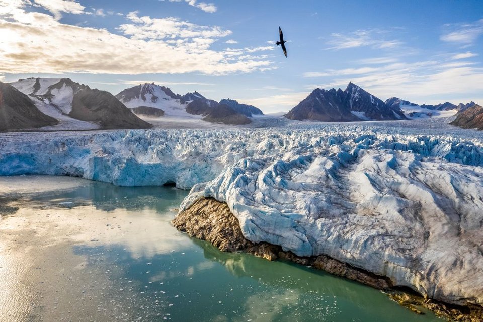Frozen PLanet II