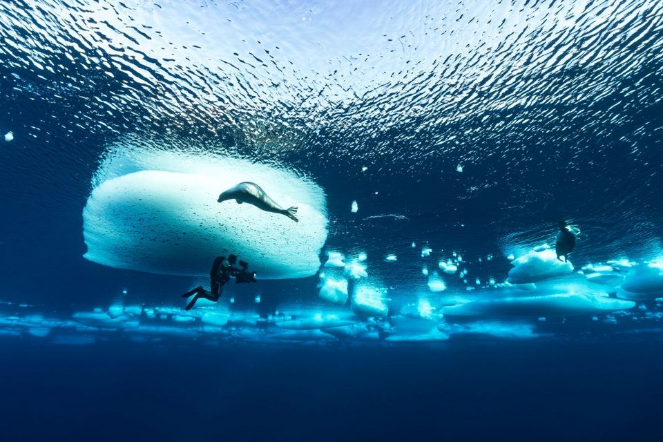 Frozen Planet II
