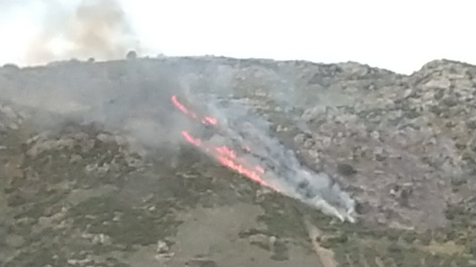 Φωτογραφίας: Cretalivenews.gr