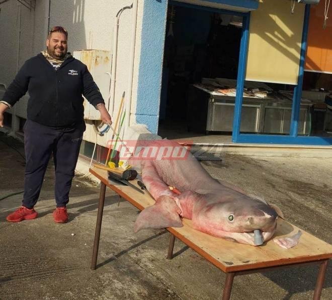 Φωτογραφία: tempo24.news