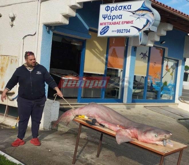 Φωτογραφία: tempo24.news