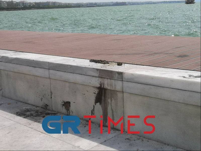 Φωτογραφία: grtimes.gr