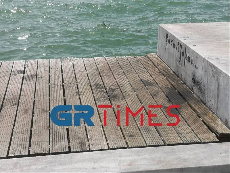 Φωτογραφία: grtimes.gr